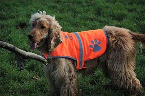 Chaleco reflectante de seguridad para perros, 5 tamaños para adaptarse a perros de 10 libras – 130 libras: alta visibilidad para actividades al aire libre día y noche, mantiene a tu perro visible, seguro de coches y accidentes de caza | Blaze Orange chale