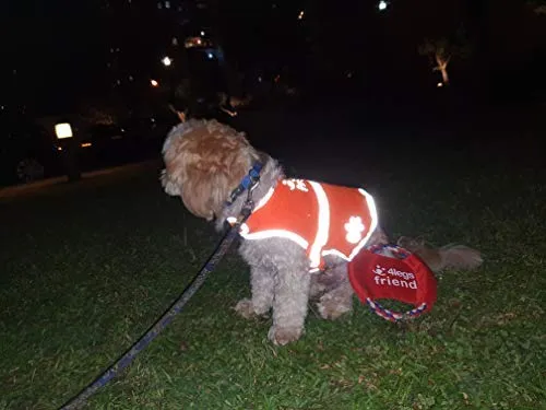 Chaleco reflectante de seguridad para perros, 5 tamaños para adaptarse a perros de 10 libras – 130 libras: alta visibilidad para actividades al aire libre día y noche, mantiene a tu perro visible, seguro de coches y accidentes de caza | Blaze Orange chale