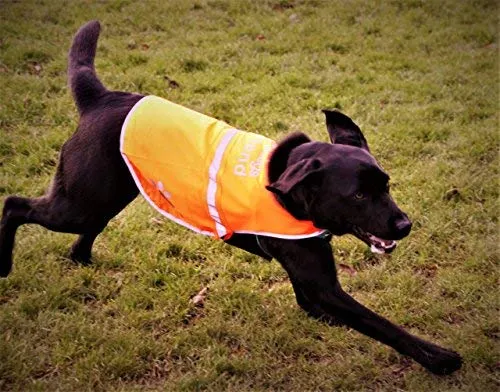 Chaleco reflectante de seguridad para perros, 5 tamaños para adaptarse a perros de 10 libras – 130 libras: alta visibilidad para actividades al aire libre día y noche, mantiene a tu perro visible, seguro de coches y accidentes de caza | Blaze Orange chale