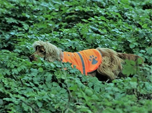 Chaleco reflectante de seguridad para perros, 5 tamaños para adaptarse a perros de 10 libras – 130 libras: alta visibilidad para actividades al aire libre día y noche, mantiene a tu perro visible, seguro de coches y accidentes de caza | Blaze Orange chale