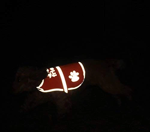 Chaleco reflectante de seguridad para perros, 5 tamaños para adaptarse a perros de 10 libras – 130 libras: alta visibilidad para actividades al aire libre día y noche, mantiene a tu perro visible, seguro de coches y accidentes de caza | Blaze Orange chale