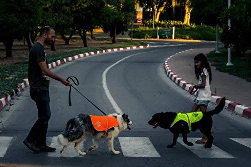 Chaleco reflectante de seguridad para perros, 5 tamaños para adaptarse a perros de 10 libras – 130 libras: alta visibilidad para actividades al aire libre día y noche, mantiene a tu perro visible, seguro de coches y accidentes de caza | Blaze Orange chale