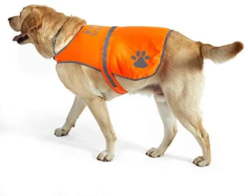Chaleco reflectante de seguridad para perros, 5 tamaños para adaptarse a perros de 10 libras – 130 libras: alta visibilidad para actividades al aire libre día y noche, mantiene a tu perro visible, seguro de coches y accidentes de caza | Blaze Orange chale