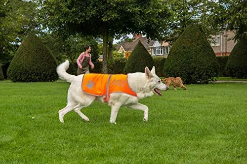 Chaleco reflectante de seguridad para perros, 5 tamaños para adaptarse a perros de 10 libras – 130 libras: alta visibilidad para actividades al aire libre día y noche, mantiene a tu perro visible, seguro de coches y accidentes de caza | Blaze Orange chale