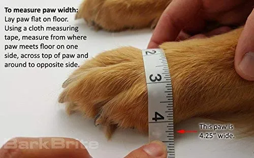 Botas protectoras para patas de perro en neopreno, para todos los climas, con correas retráctiles en 5 tamaños.