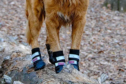 Botas protectoras para patas de perro en neopreno, para todos los climas, con correas retráctiles en 5 tamaños.