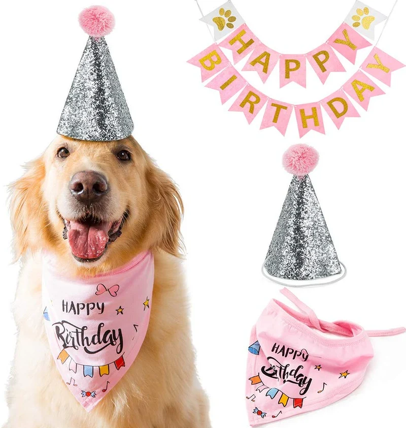 Hippie - Bandana de cumpleaños para perro con gorro de fiesta y decoración para fiesta