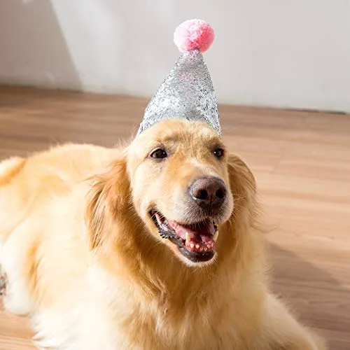 Hippie - Bandana de cumpleaños para perro con gorro de fiesta y decoración para fiesta