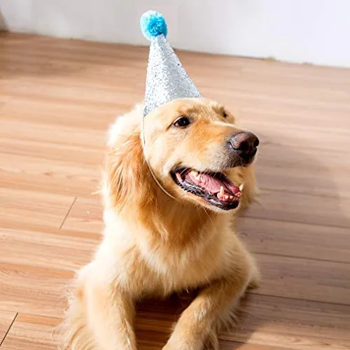 Hippie - Bandana de cumpleaños para perro con gorro de fiesta y decoración para fiesta