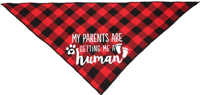 JPB My Parents are Getting Me a Human2 Pack Bandana para perro con revelación de género