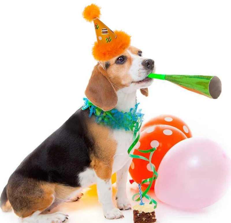Sombrero de fiesta para perro de Escenereal, 6 paquetes, bonito juego de sombreros de cono para perros, fiestas de cumpleaños, gorros de felpa suave, coloridos, suministros perfectos para fiestas de perritos