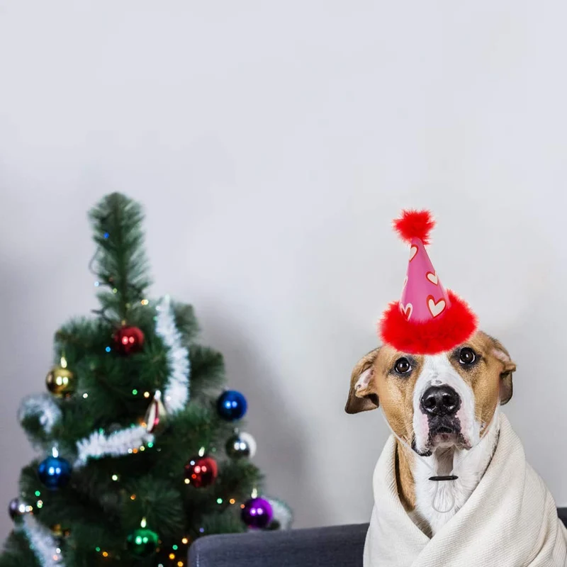 Sombrero de fiesta para perro de Escenereal, 6 paquetes, bonito juego de sombreros de cono para perros, fiestas de cumpleaños, gorros de felpa suave, coloridos, suministros perfectos para fiestas de perritos
