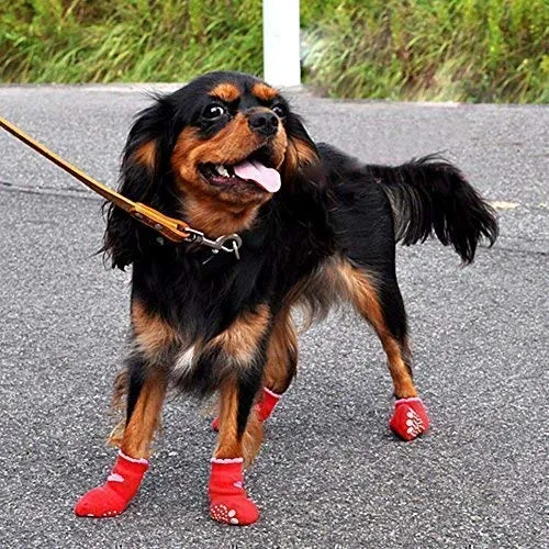 LFPET Calcetines de algodón para control de tracción, para perros de interior, antideslizantes, 5 pares, color al azar