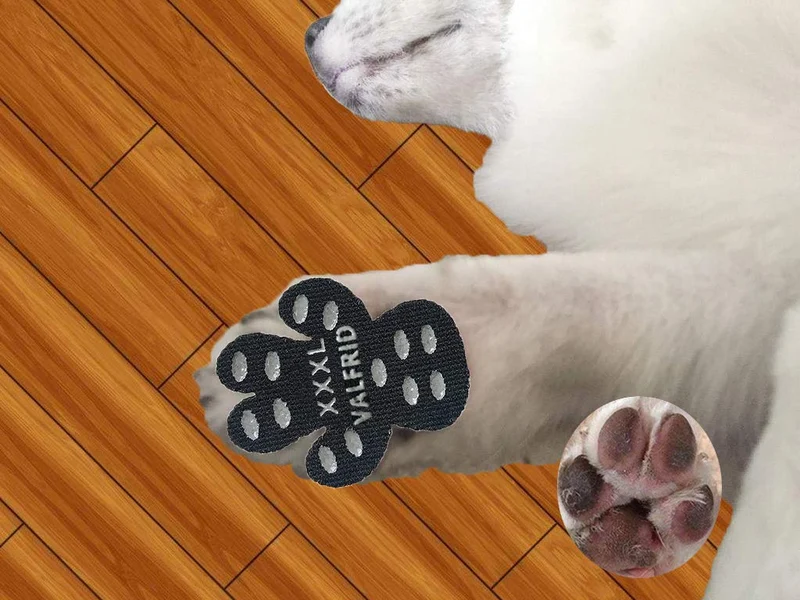 VALFRID - Almohadillas antideslizantes para patas de perro, antideslizantes, para suelos de madera dura, autoadhesivas, resistentes a perros, calcetines, calcetines, correas de repuesto