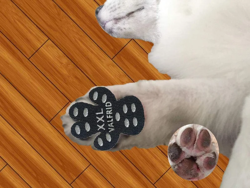 VALFRID - Almohadillas antideslizantes para patas de perro, antideslizantes, para suelos de madera dura, autoadhesivas, resistentes a perros, calcetines, calcetines, correas de repuesto