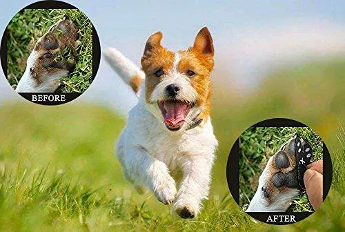 VALFRID - Almohadillas antideslizantes para patas de perro, antideslizantes, para suelos de madera dura, autoadhesivas, resistentes a perros, calcetines, calcetines, correas de repuesto