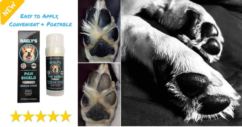 Baely's Paw Shield Rescue Stick – Confía en el original fabricado en América Paw Shield | Cera de protección de la pata de perro fácil de aplicar | Protección natural de la huella para lluvia fría y caliente y champiñones en nieve | 2 oz fácil de aplicar