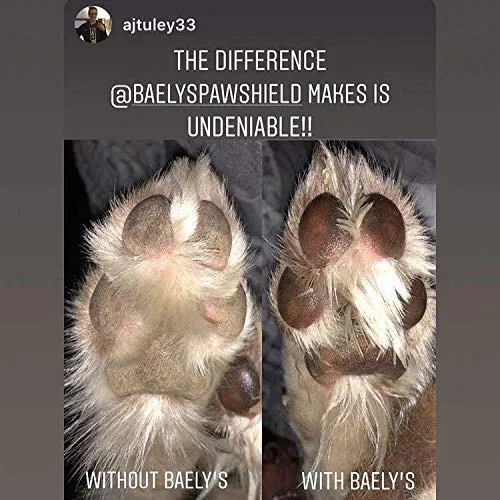Baely's Paw Shield Rescue Stick – Confía en el original fabricado en América Paw Shield | Cera de protección de la pata de perro fácil de aplicar | Protección natural de la huella para lluvia fría y caliente y champiñones en nieve | 2 oz fácil de aplicar