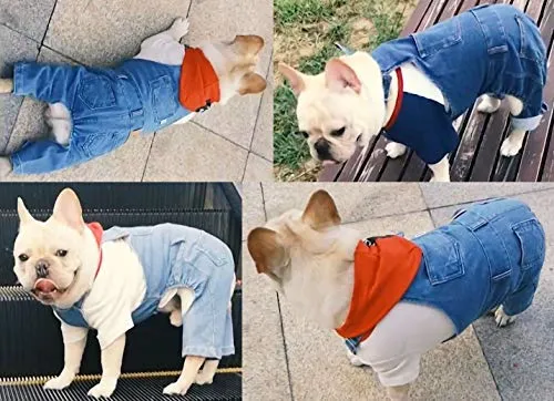 PetBoBo - Trajes de ropa para perro, pantalones de jean para mascotas, 5 tamaños opcionales