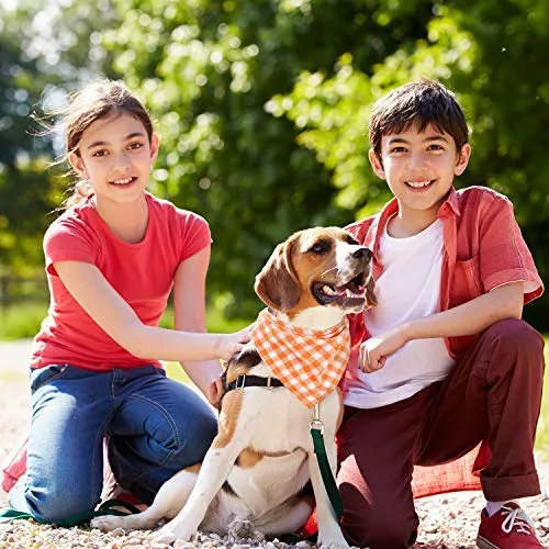 Bandanas de perro de 12 piezas, pañuelo triangular para perro, impresión reversible lavable, baberos para perro, juego de pañuelos, apto para mascotas pequeñas o medianas
