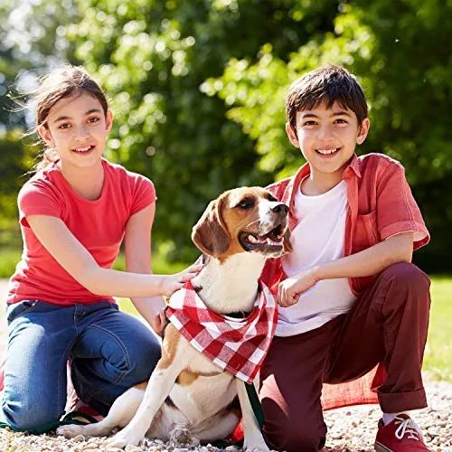 Bandanas de perro de 12 piezas, pañuelo triangular para perro, impresión reversible lavable, baberos para perro, juego de pañuelos, apto para mascotas pequeñas o medianas