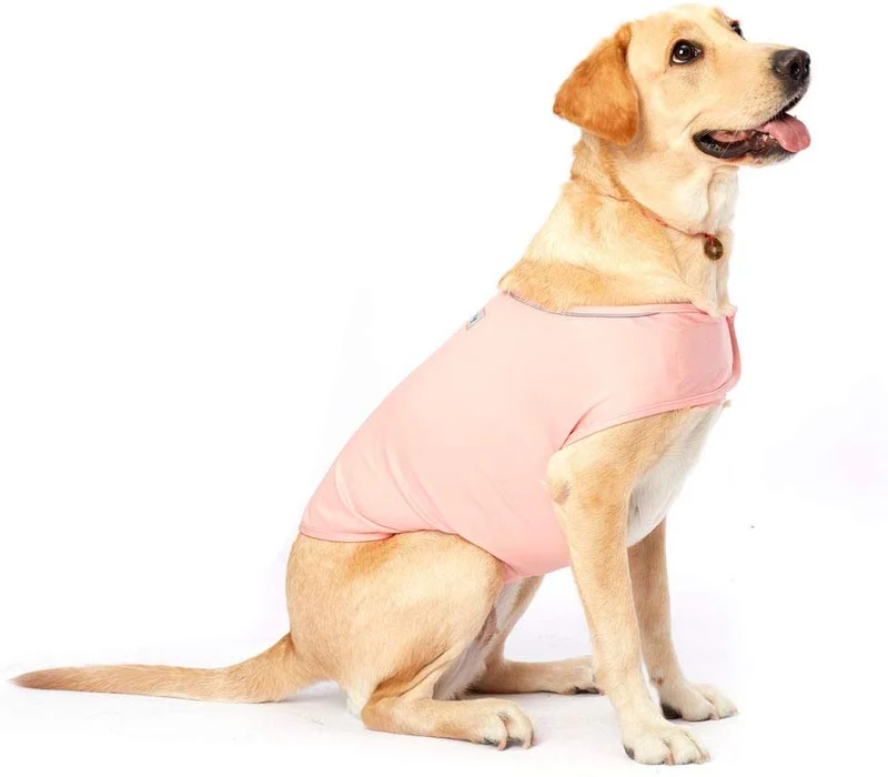 Furubaby Ansiety - Abrigo para perro con camisa, para perros pequeños, medianos, grandes, XL, color sólido, azul, gris, verde, rosa, rosa (rosa)