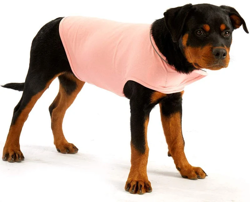 Furubaby Ansiety - Abrigo para perro con camisa, para perros pequeños, medianos, grandes, XL, color sólido, azul, gris, verde, rosa, rosa (rosa)