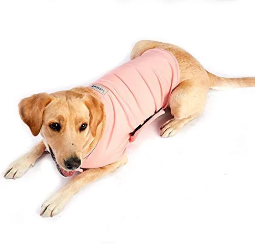Furubaby Ansiety - Abrigo para perro con camisa, para perros pequeños, medianos, grandes, XL, color sólido, azul, gris, verde, rosa, rosa (rosa)