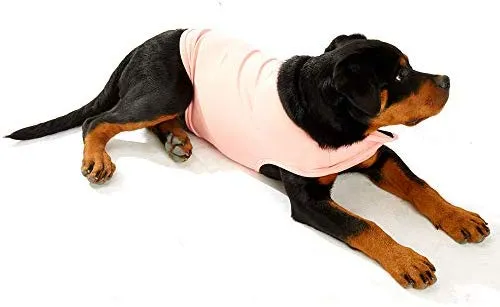 Furubaby Ansiety - Abrigo para perro con camisa, para perros pequeños, medianos, grandes, XL, color sólido, azul, gris, verde, rosa, rosa (rosa)
