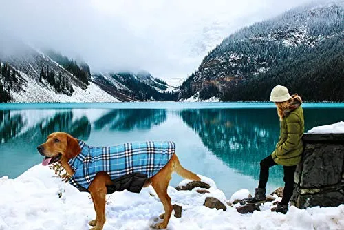 MIGOHI Dog Jackets for Winter Windproof Waterproof Reversible Dog Coat for Cold Weather British Style Plaid Warm Dog Vest for Small Medium Large Dogs