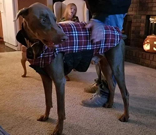 MIGOHI Dog Jackets for Winter Windproof Waterproof Reversible Dog Coat for Cold Weather British Style Plaid Warm Dog Vest for Small Medium Large Dogs