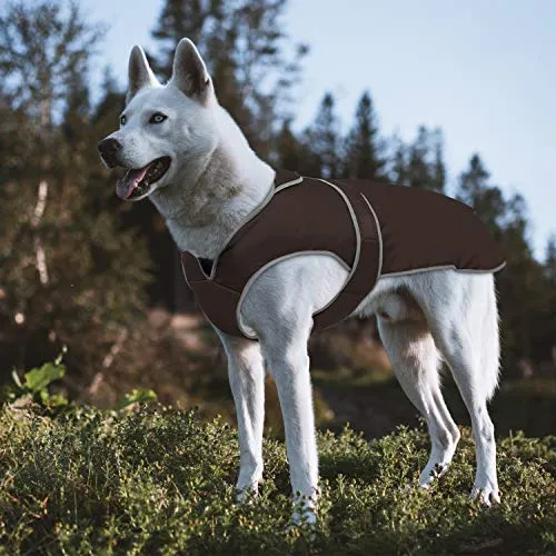MIGOHI - Chaleco reflectante impermeable y resistente al viento para perro, para clima frío, abrigo cálido para perro, chaleco de invierno para perros pequeños, medianos y grandes