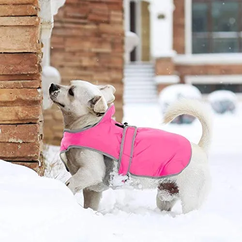 MIGOHI - Chaleco reflectante impermeable y resistente al viento para perro, para clima frío, abrigo cálido para perro, chaleco de invierno para perros pequeños, medianos y grandes