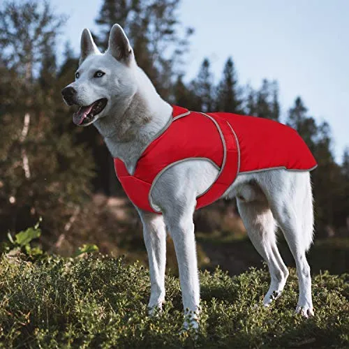 MIGOHI - Chaleco reflectante impermeable y resistente al viento para perro, para clima frío, abrigo cálido para perro, chaleco de invierno para perros pequeños, medianos y grandes