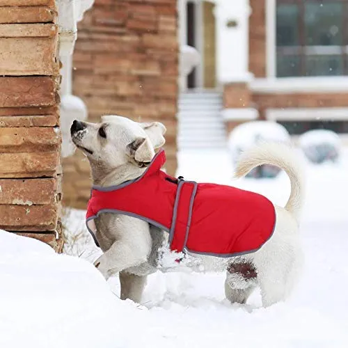 MIGOHI - Chaleco reflectante impermeable y resistente al viento para perro, para clima frío, abrigo cálido para perro, chaleco de invierno para perros pequeños, medianos y grandes