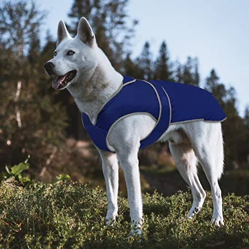 MIGOHI - Chaleco reflectante impermeable y resistente al viento para perro, para clima frío, abrigo cálido para perro, chaleco de invierno para perros pequeños, medianos y grandes