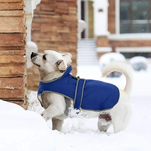 MIGOHI - Chaleco reflectante impermeable y resistente al viento para perro, para clima frío, abrigo cálido para perro, chaleco de invierno para perros pequeños, medianos y grandes