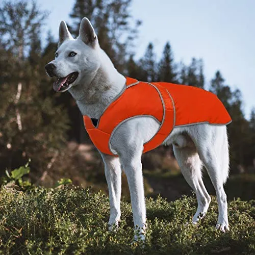 MIGOHI - Chaleco reflectante impermeable y resistente al viento para perro, para clima frío, abrigo cálido para perro, chaleco de invierno para perros pequeños, medianos y grandes