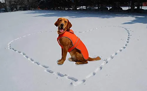 MIGOHI - Chaleco reflectante impermeable y resistente al viento para perro, para clima frío, abrigo cálido para perro, chaleco de invierno para perros pequeños, medianos y grandes