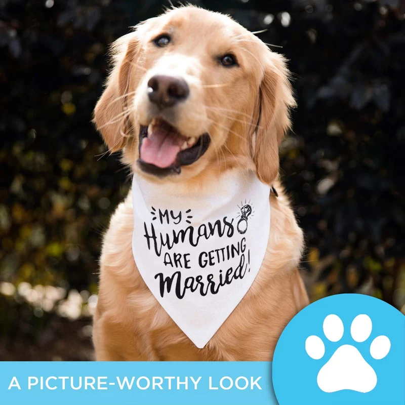 Bandana para perro My Humans are Getting Married Dog Bandana, bandana para perro de boda, anuncio de compromiso, accesorio para fotos de boda, bufanda para mascotas, mascota