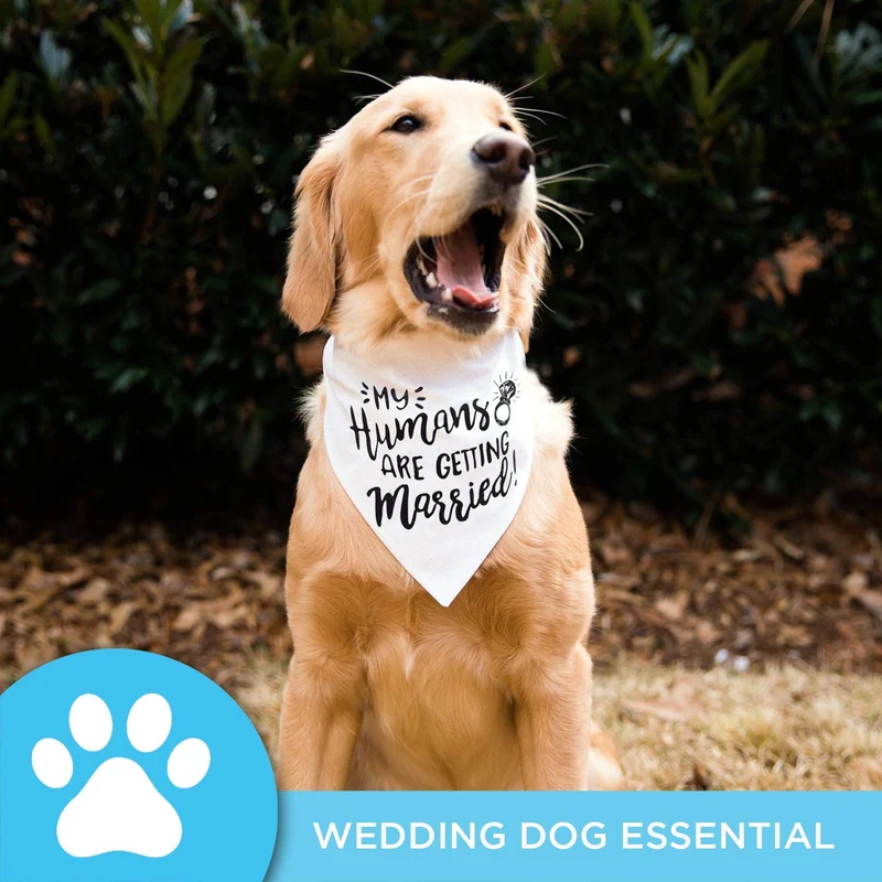 Bandana para perro My Humans are Getting Married Dog Bandana, bandana para perro de boda, anuncio de compromiso, accesorio para fotos de boda, bufanda para mascotas, mascota