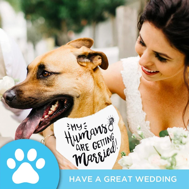 Bandana para perro My Humans are Getting Married Dog Bandana, bandana para perro de boda, anuncio de compromiso, accesorio para fotos de boda, bufanda para mascotas, mascota