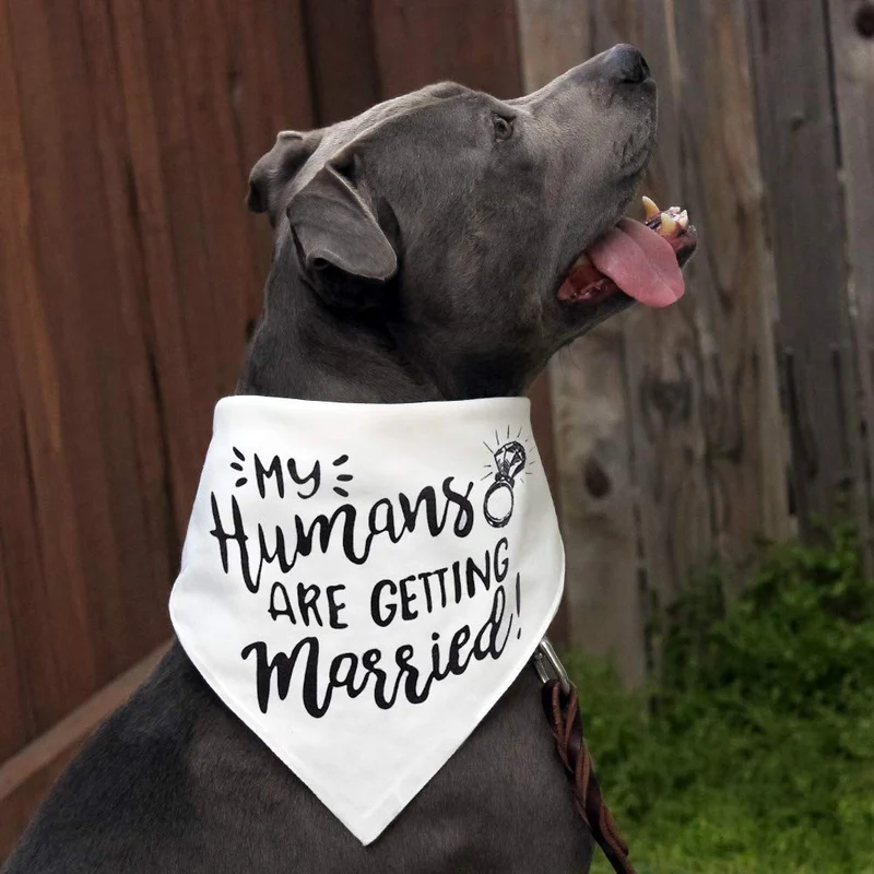 Bandana para perro My Humans are Getting Married Dog Bandana, bandana para perro de boda, anuncio de compromiso, accesorio para fotos de boda, bufanda para mascotas, mascota