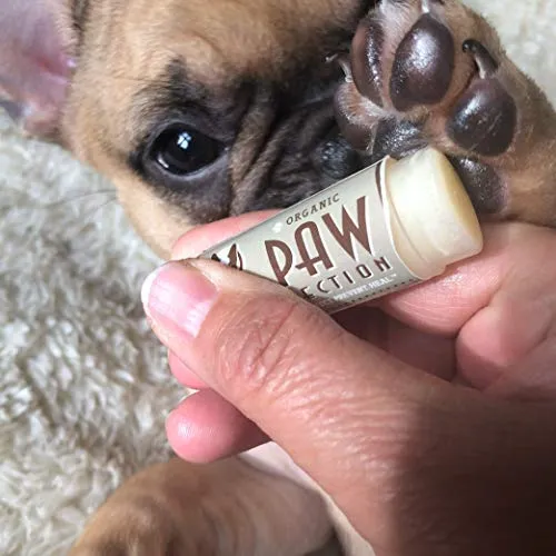 Natural Dog Company - PawTection - Almohadillas protectoras para patas de perro, perfectas para asfalto caliente, sal, nieve, orgánicas, veganas