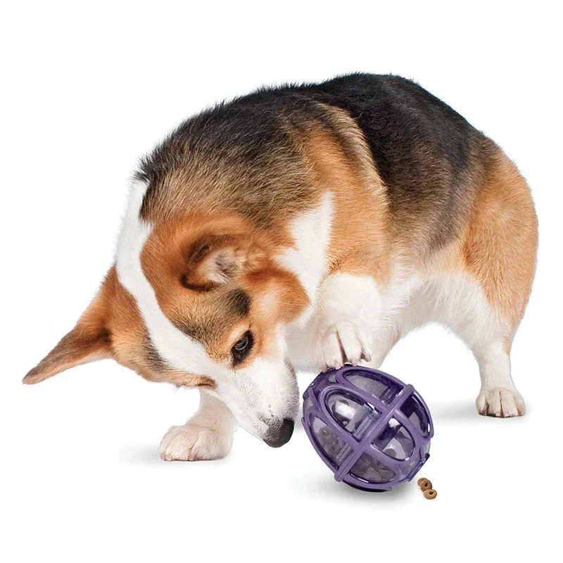 PetSafe Busy Buddy Kibble Nibble Meal Dispensing Dog Toy