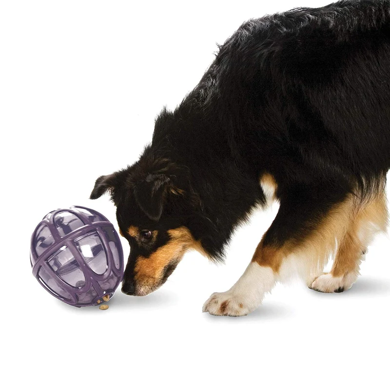 PetSafe Busy Buddy Kibble Nibble Meal Dispensing Dog Toy