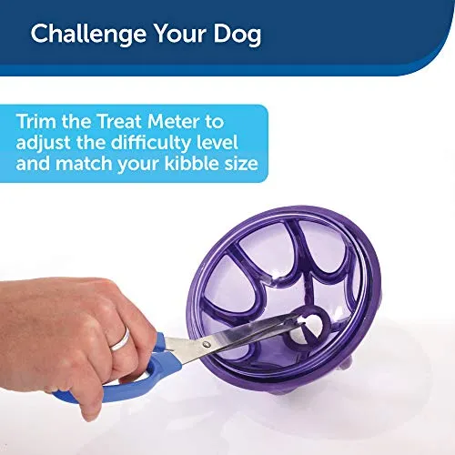 PetSafe Busy Buddy Kibble Nibble Meal Dispensing Dog Toy