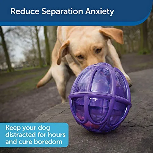 PetSafe Busy Buddy Kibble Nibble Meal Dispensing Dog Toy