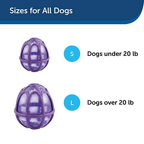 PetSafe Busy Buddy Kibble Nibble Meal Dispensing Dog Toy