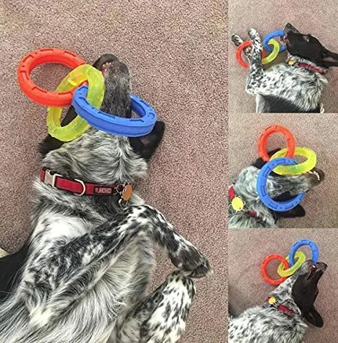 Nerf Dog - Juguete para perro, multicanal, TPR